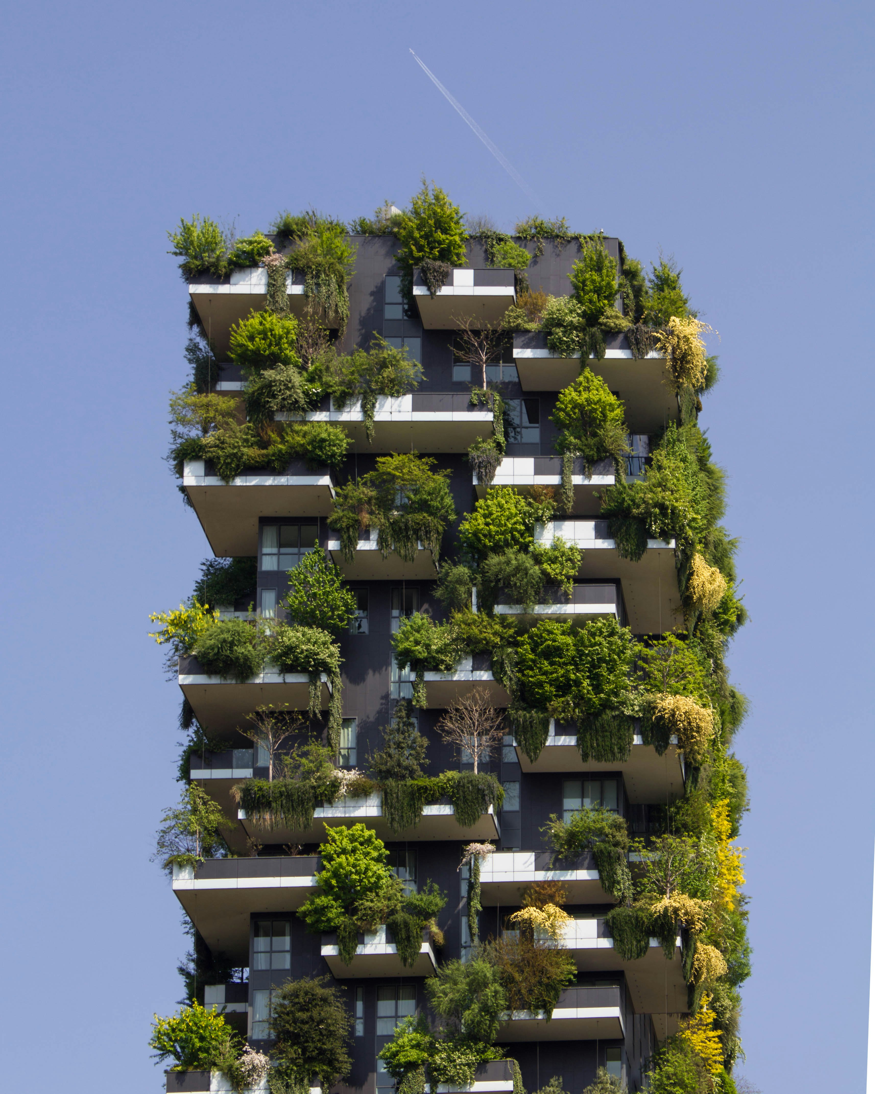 Apartment Block Covered In Shrubbery